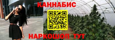 дмт Ставрополь