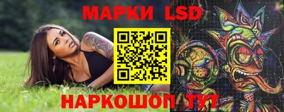 дмт Ставрополь