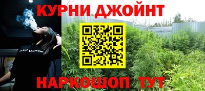 дмт Ставрополь