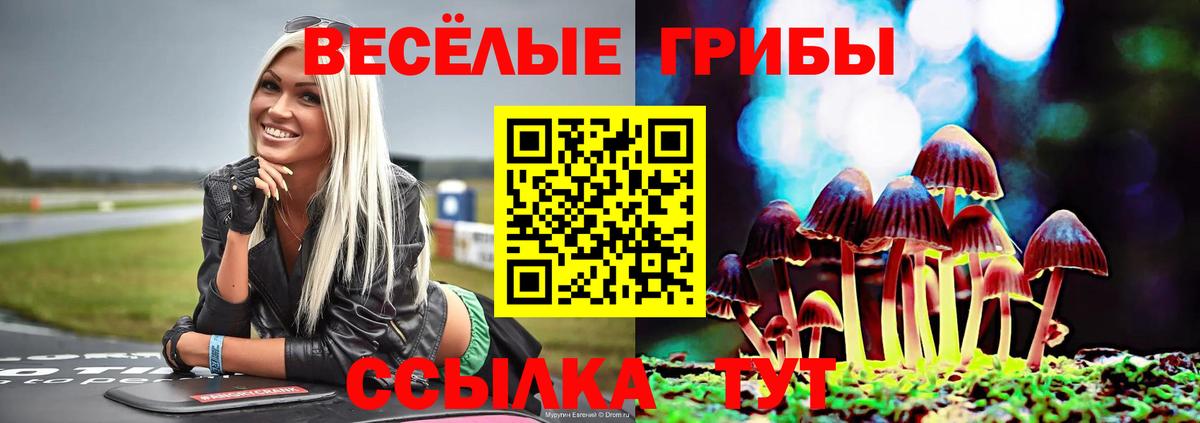 Псилоцибиновые грибы ЛСД Барнаул